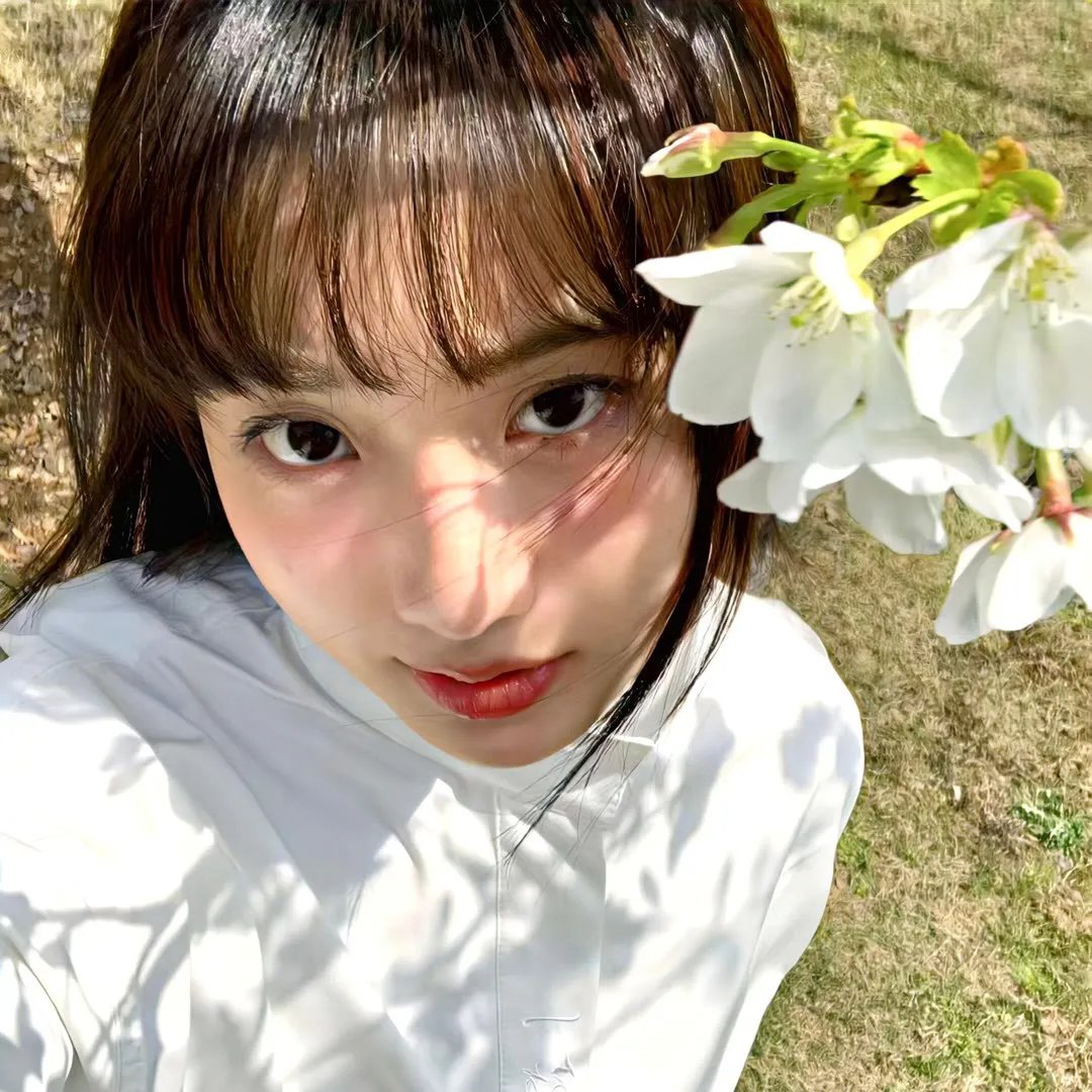 寻枪